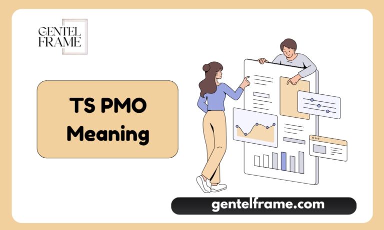 TS PMO Meaning