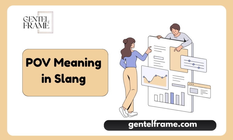 POV Meaning in Slang
